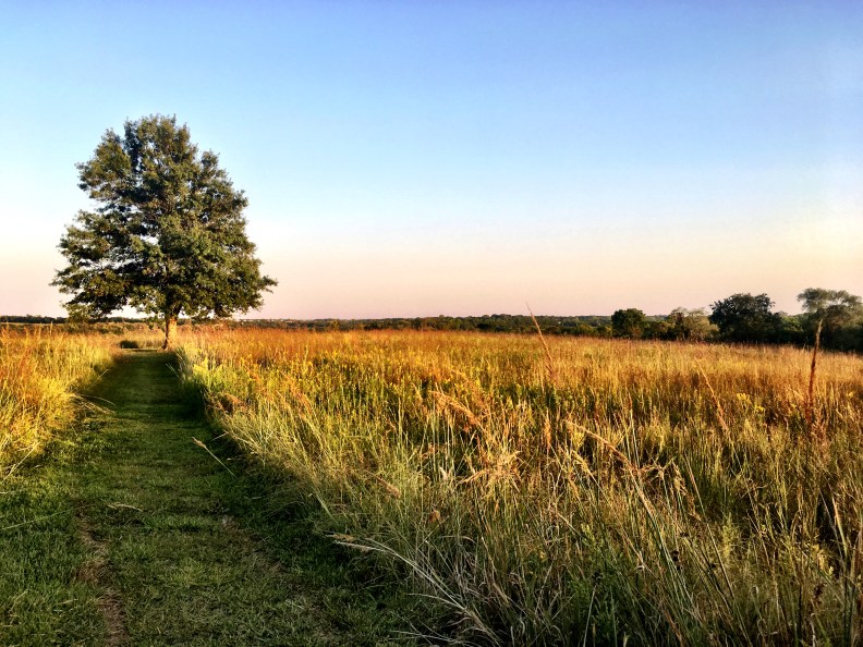 Photo Sep 08, 7 09 50 PM (1).jpg