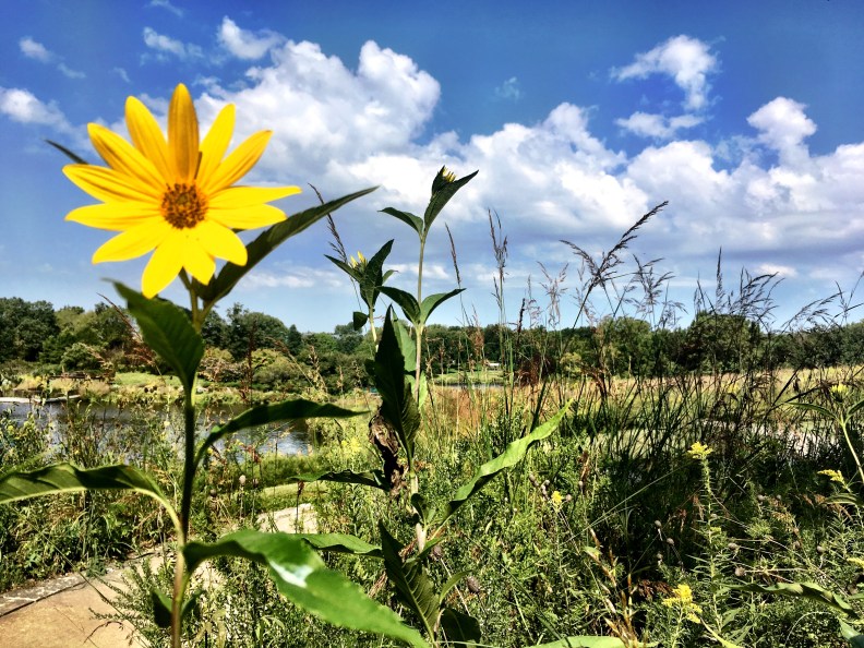 Photo Sep 10, 11 35 11 AM (1).jpg