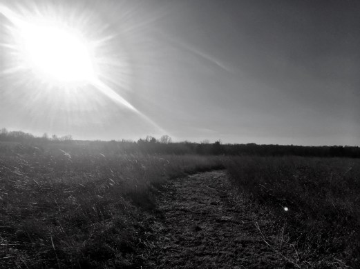 Photo Dec 13, 3 14 38 PM