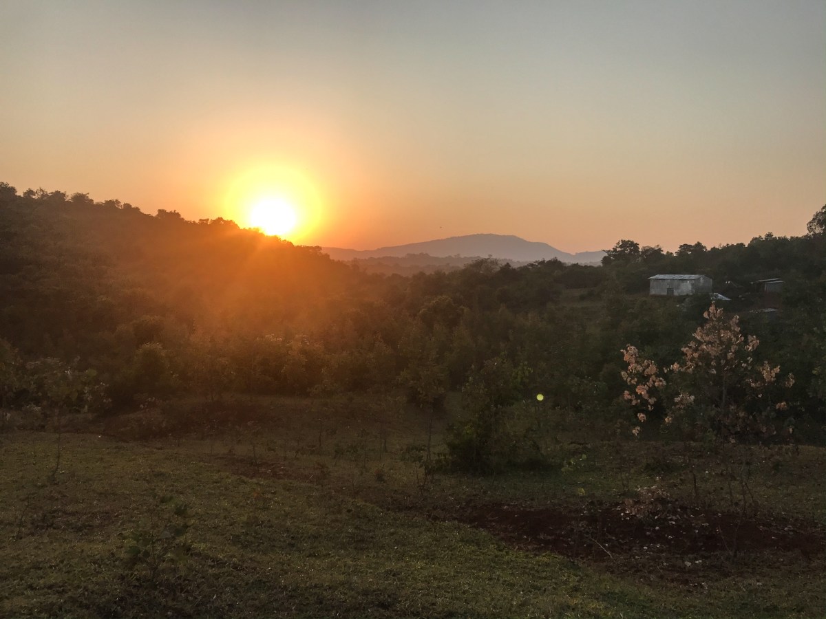 Reasons Why I’m Scared to Return to America.