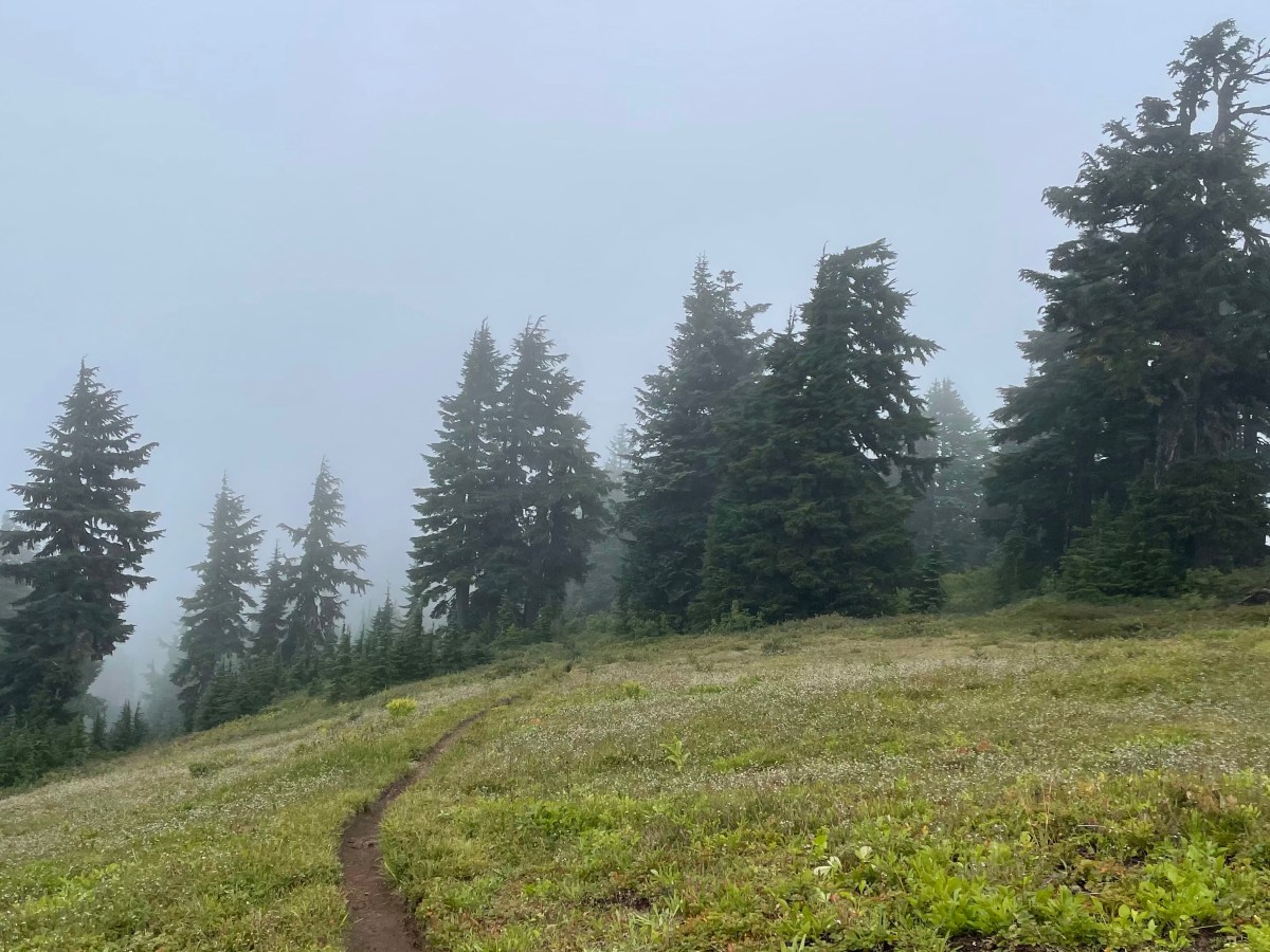 Day 113: Rain And Some More Rain.