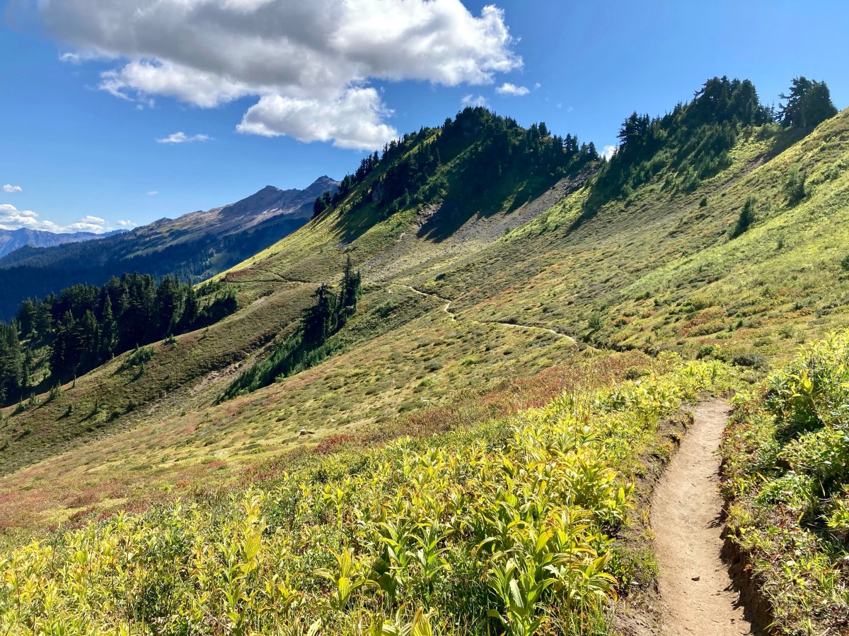 Day 114: Pure Beauty!